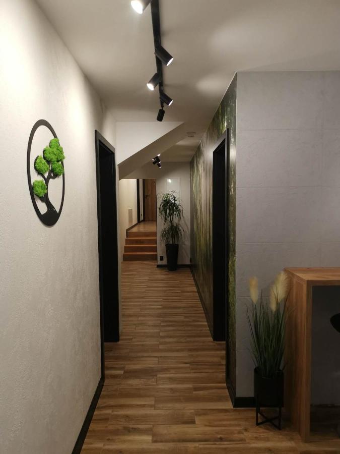 Apartament Skorusinka W Poblizu Chocholowskich Term Witów Екстериор снимка