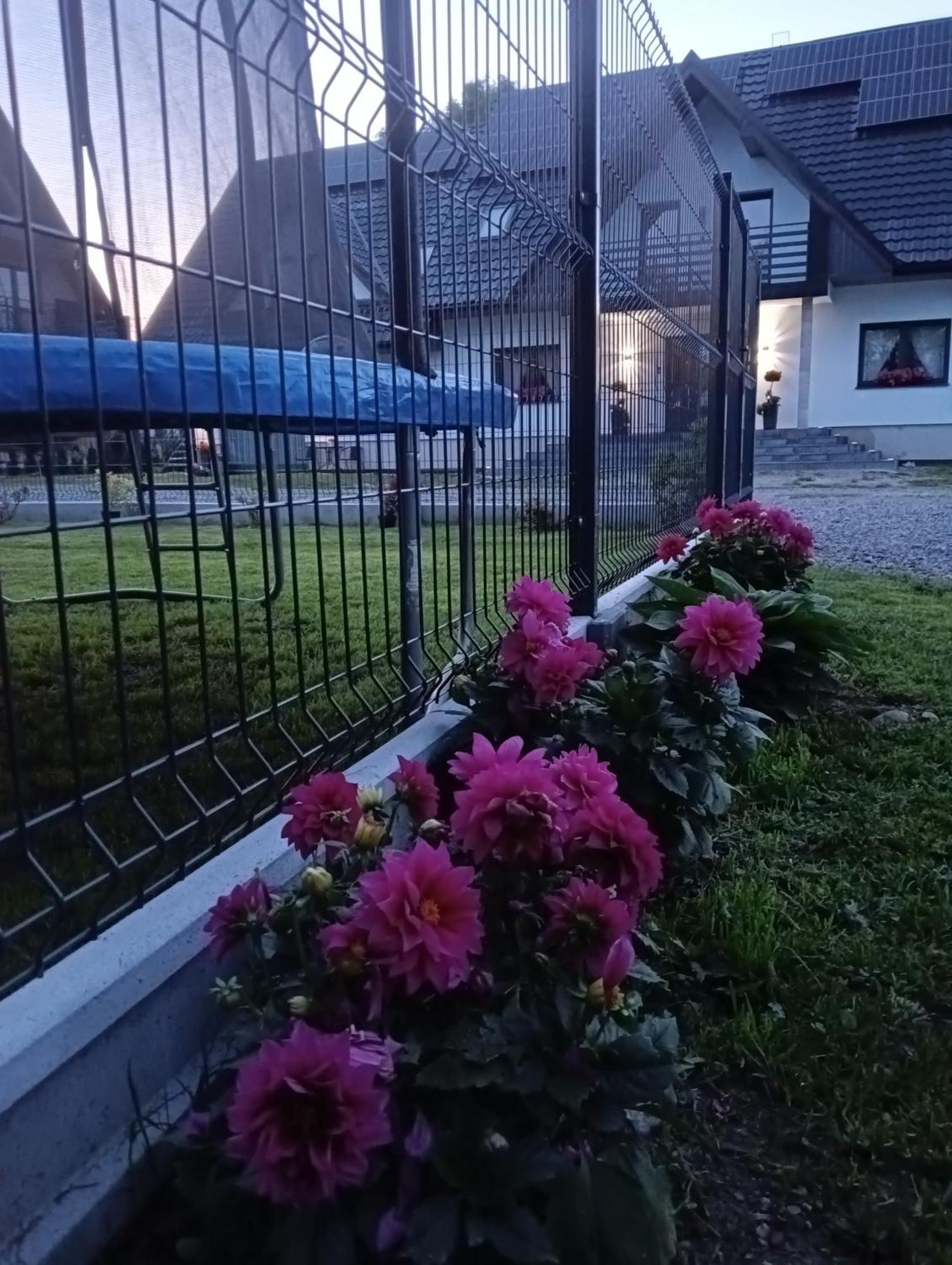 Apartament Skorusinka W Poblizu Chocholowskich Term Witów Екстериор снимка